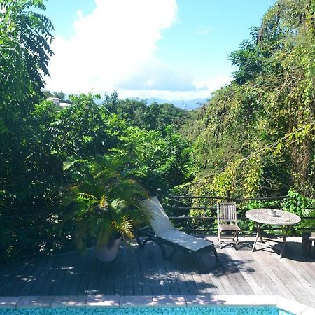 Racoon Lodge Pointe-à-Pitre Extérieur photo