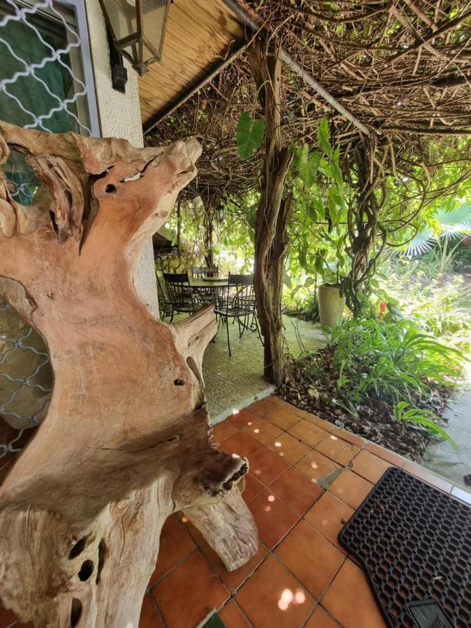 Racoon Lodge Pointe-à-Pitre Extérieur photo